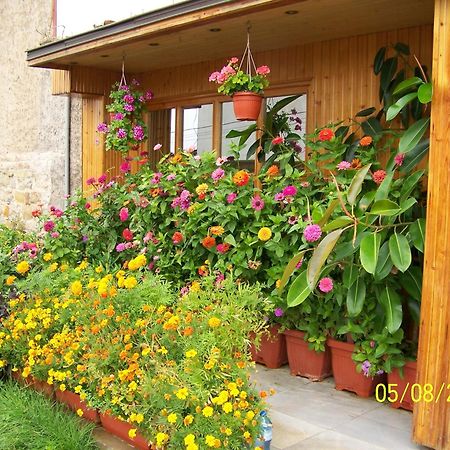 Hotel Comfort Veliko Turnovo Bagian luar foto