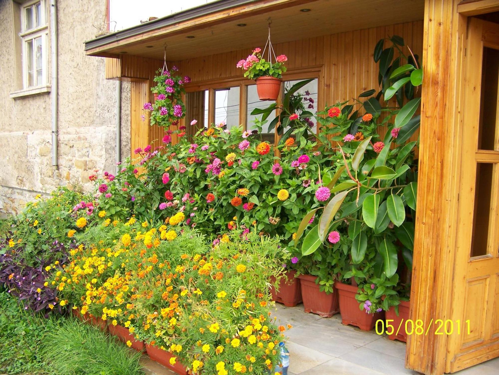 Hotel Comfort Veliko Turnovo Bagian luar foto